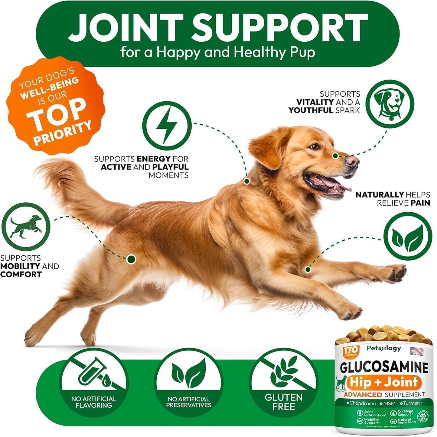 Petsology Mobility Advanced Hip and Joint Supplement for Dogs with Glucosamine Chondroitin. Made in USA. (2-pack) 340 Chews.