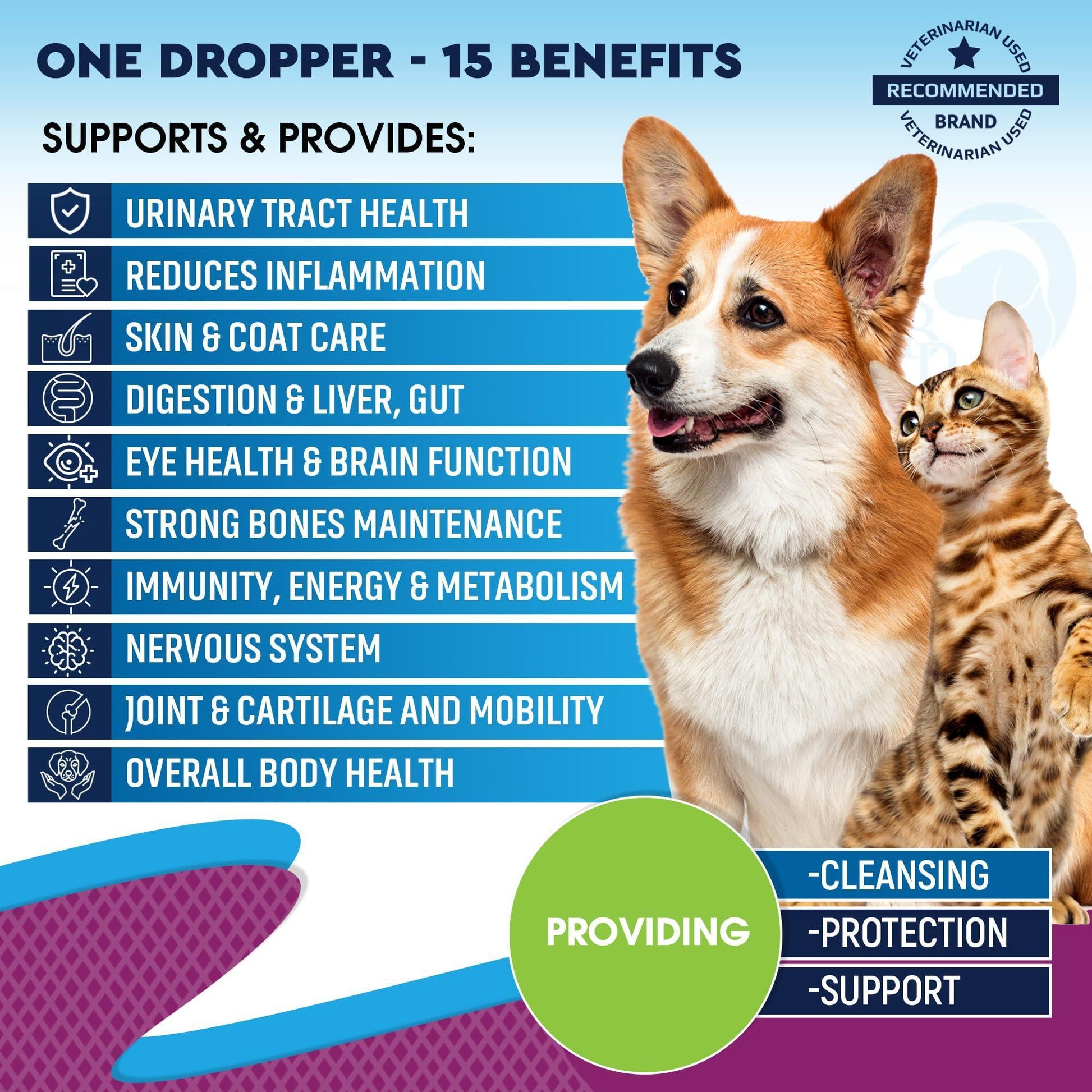 Beloved Pets 15in1 Multivitamin Supplement & UTI Support for Cats & Dogs 60ml For Pet With Love