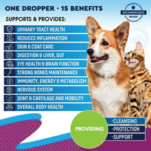 Load image into Gallery viewer, Beloved Pets 15in1 Multivitamin Supplement &amp; UTI Support for Cats &amp; Dogs 60ml

