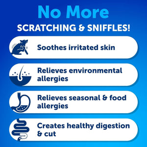 Probiotics for Dogs   Support Gut Health Itchy Skin Allergies Immunity Yeast