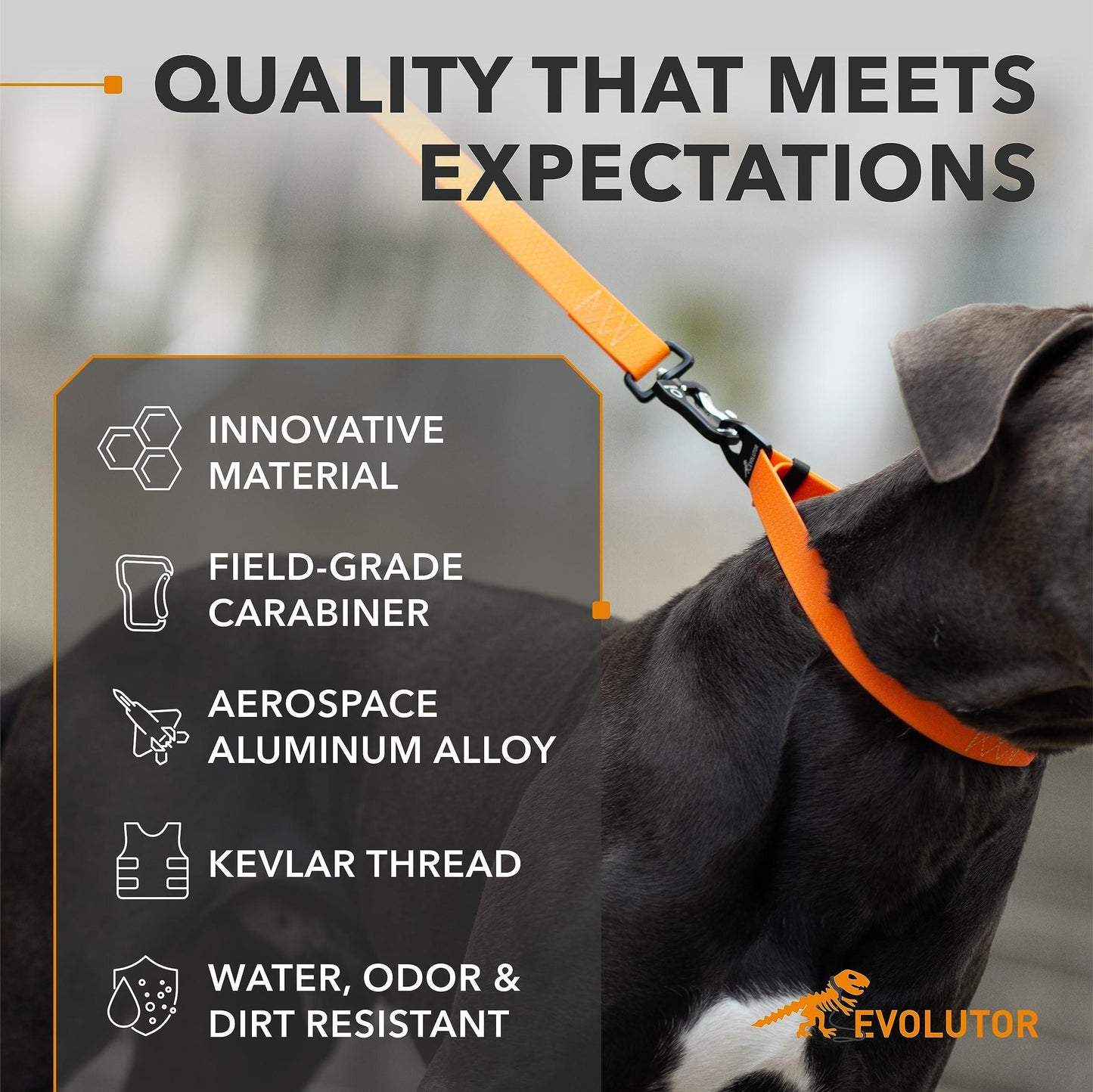 COLLAR Extra Heavy Duty Durable EVOLUTOR Dog Leash 4 Ft (Orange) For Pet With Love