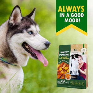 Beloved Pets Sweet Potato Wrapped with Chicken Dog Chew Treats 10.6 Oz