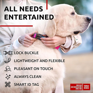 Waterproof Dog Collar   Adjustable Dog Collar for Large Dogs Small and Medium