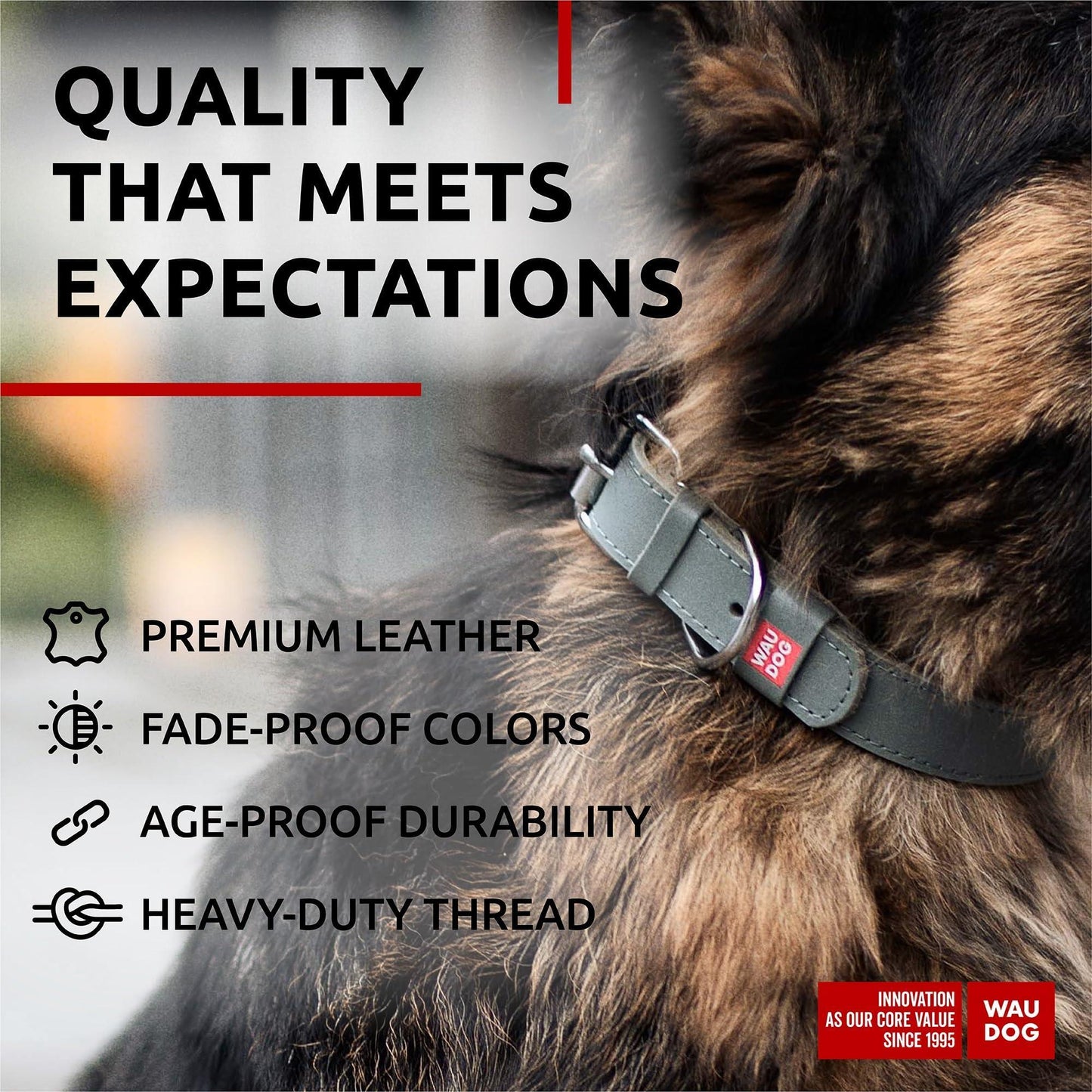 WAUDOG Long Lasting Leather Dog Collar with Durable Buckle D Ring & QR Dog Tag GRAY XLARGE For Pet With Love