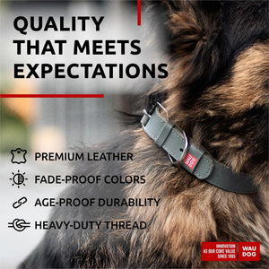 WAUDOG Long Lasting Leather Dog Collar with Durable Buckle D Ring & QR Dog Tag GRAY XLARGE