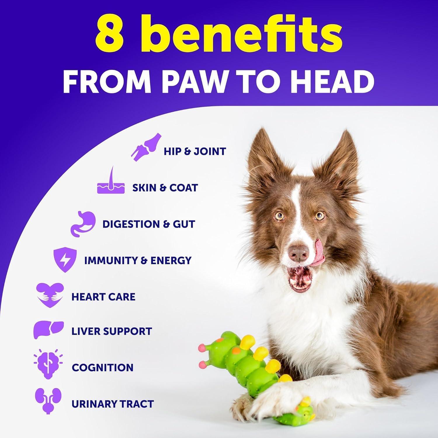 Artullano Dog Chewable 20in1 Multivitamin Supplement with Glucosamine 120 Chews For Pet With Love