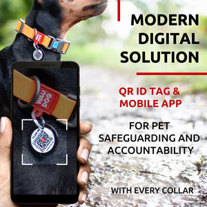 WAUDOG Adjustable Waterproof Dog Collar with Plastic Buckle and QR Dog Tag ORANGE SMALL