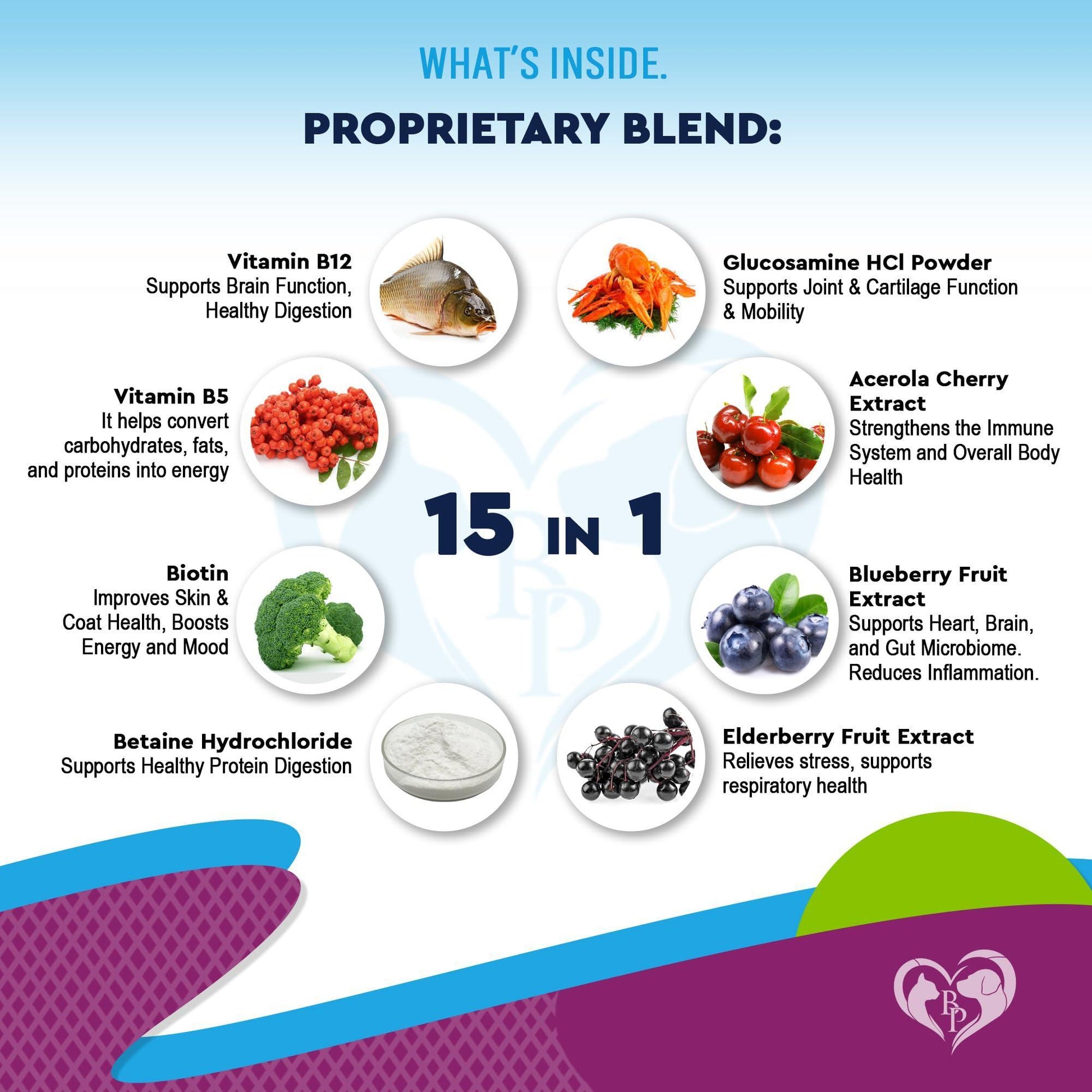Beloved Pets 15in1 Multivitamin Supplement & UTI Support for Cats & Dogs 60ml For Pet With Love