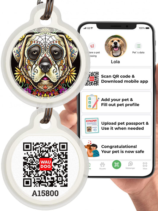 WAUDOG Silicone QR Code Pet ID Tags for Dogs & Cats (Dog Skull Large) For Pet With Love