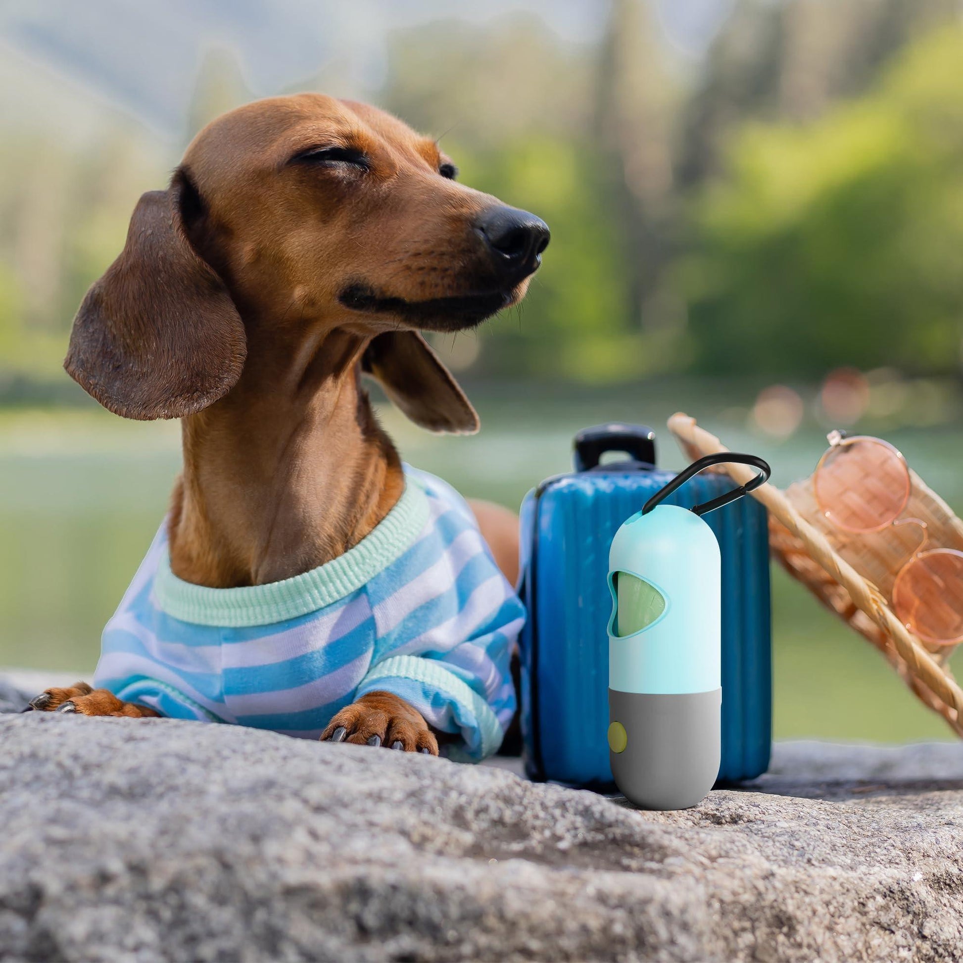 Dog Waste Bag Dispenser with 4 Rolls of 15 Bags For Pet With Love