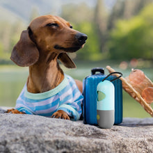 Load image into Gallery viewer, Dog Waste Bag Dispenser with 4 Rolls of 15 Bags
