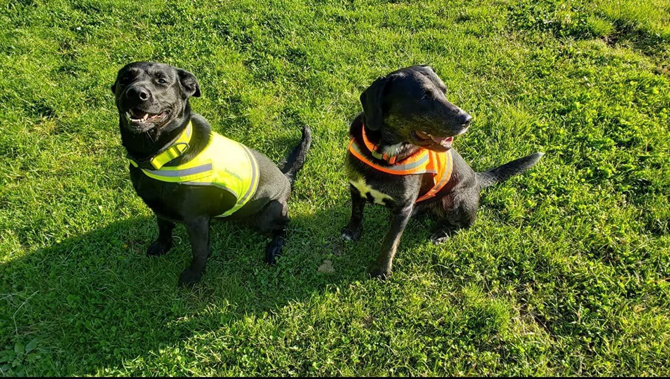 SafetyPUP XD Reflective HiVisibility Yellow Fluorescent Dog Safety Vest (XSMALL) For Pet With Love