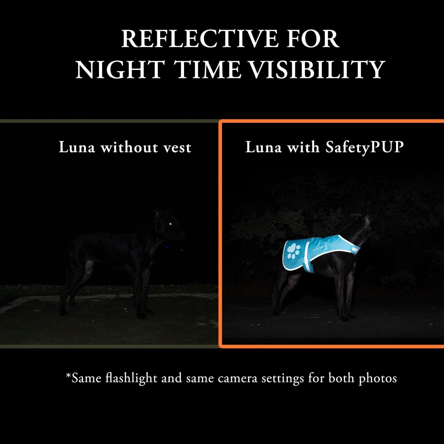 SafetyPUP XD Reflective Hi Vis Fluorescent Dog Safety Vest. Blue (LARGE) For Pet With Love