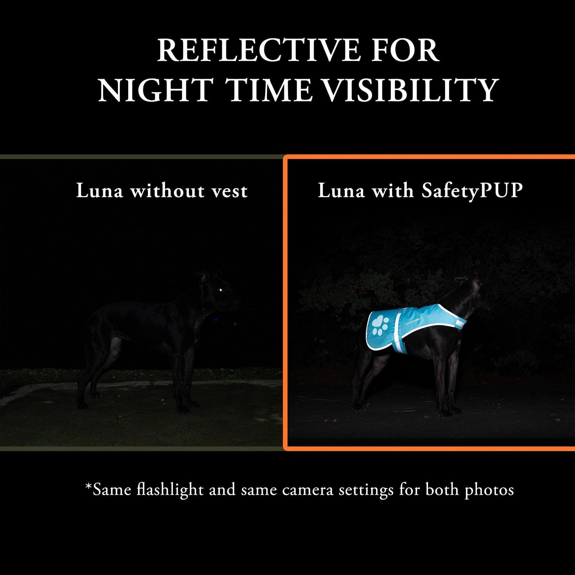 SafetyPUP XD Reflective Hi Vis Fluorescent Dog Safety Vest. Blue (LARGE) For Pet With Love