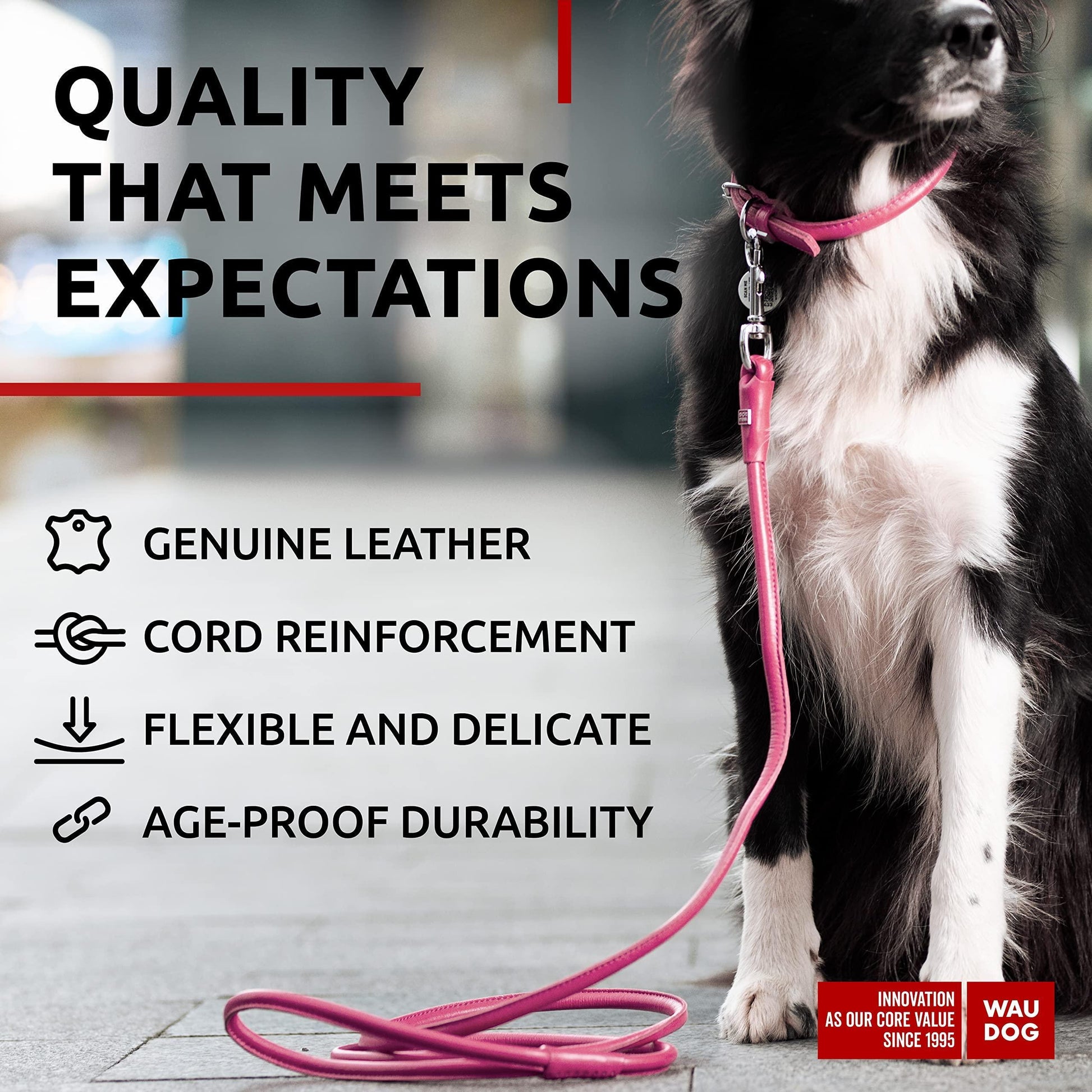 Rolled Leather Dog Leash 4Ft * 0.4 in for Small Medium and Large Dogs   Heavy For Pet With Love