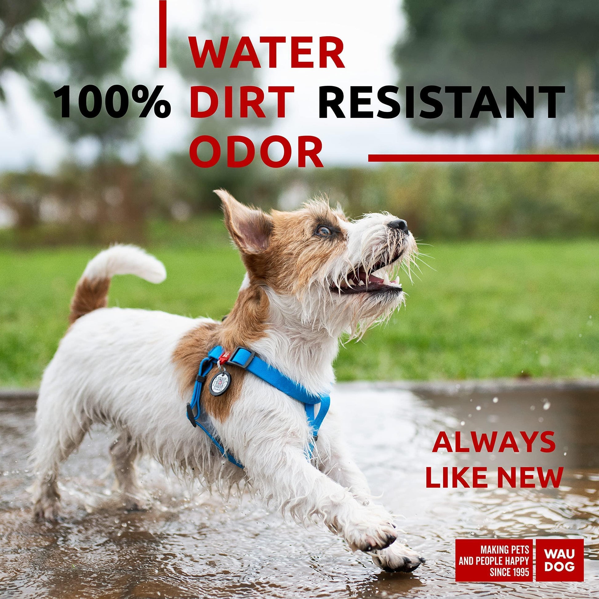 Waterproof Dog Harness   Adjustable Dog Harness for Large Dogs Small and Medium For Pet With Love
