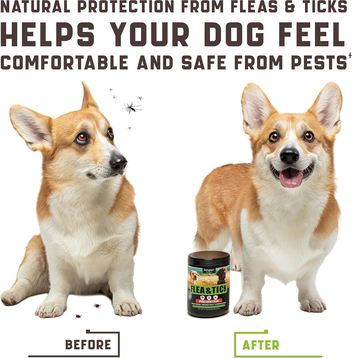 Kinpur Pet Care Flea and Tick Prevention Chewable Treatment for Dogs 180 Chews. Duck Flavor For Pet With Love