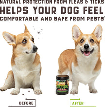 Load image into Gallery viewer, Flea and Tick Prevention Chewable for Dogs
