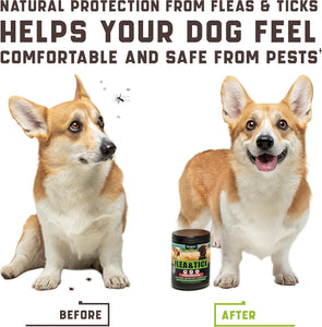 Flea and Tick Prevention Chewable for Dogs