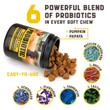 Load image into Gallery viewer, Kinpur Pet Care Probiotic Treats for Dogs 180 Chews
