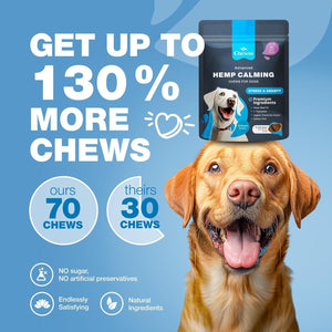 CHEWIA Hemp Calming Anxiety Relief Chews for Dogs Beef Flavor. Travel Pack 5 Oz