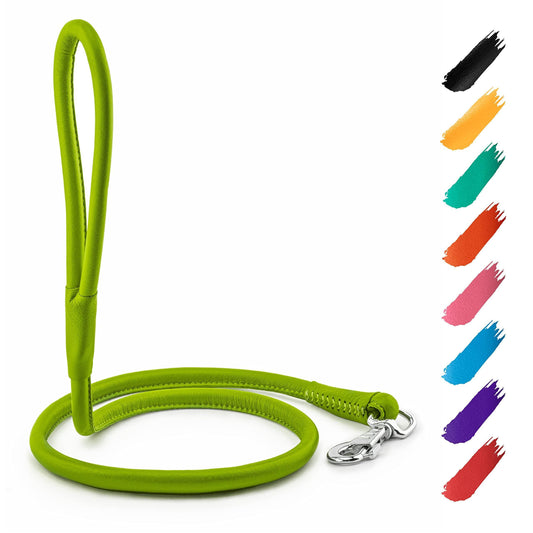 WAUDOG Rolled Leather GLAMOUR Dog Leash 4Ft * 0.3in (Green) For Pet With Love