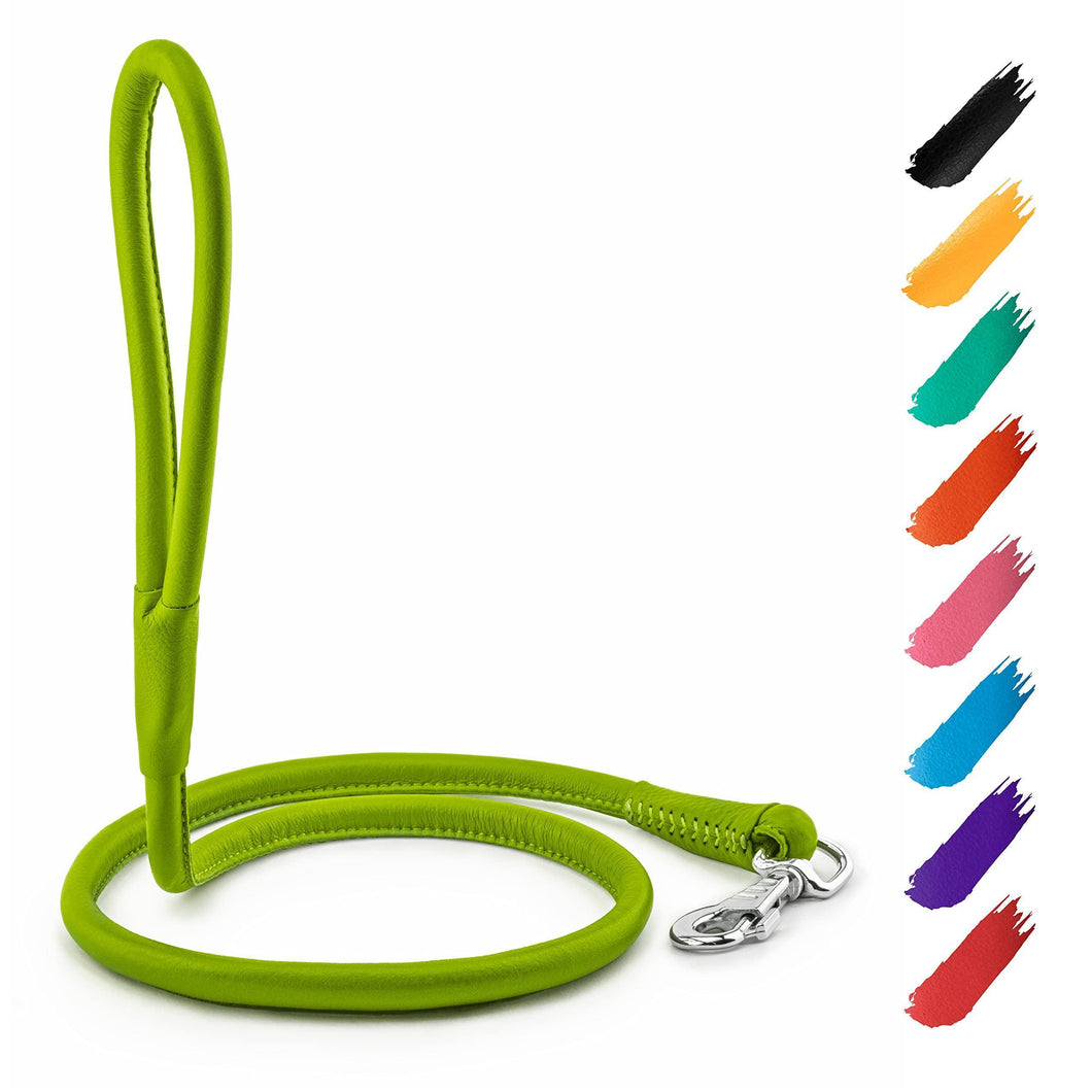 WAUDOG Rolled Leather GLAMOUR Dog Leash 4Ft * 0.3in (Green)