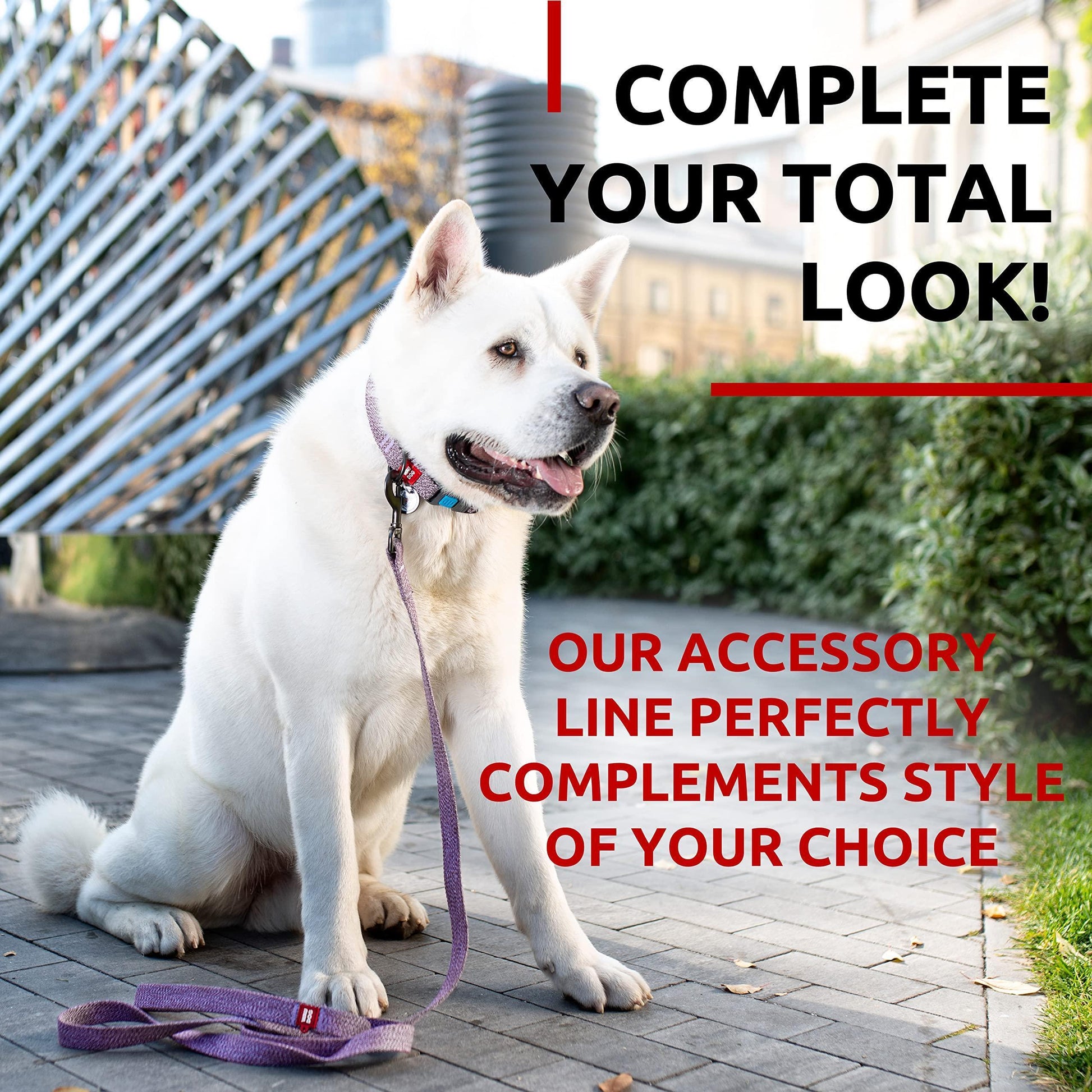 Recycled Cotton Dog Leash 6 Ft   10 Ft Eco Friendly Collar for Small Medium & For Pet With Love