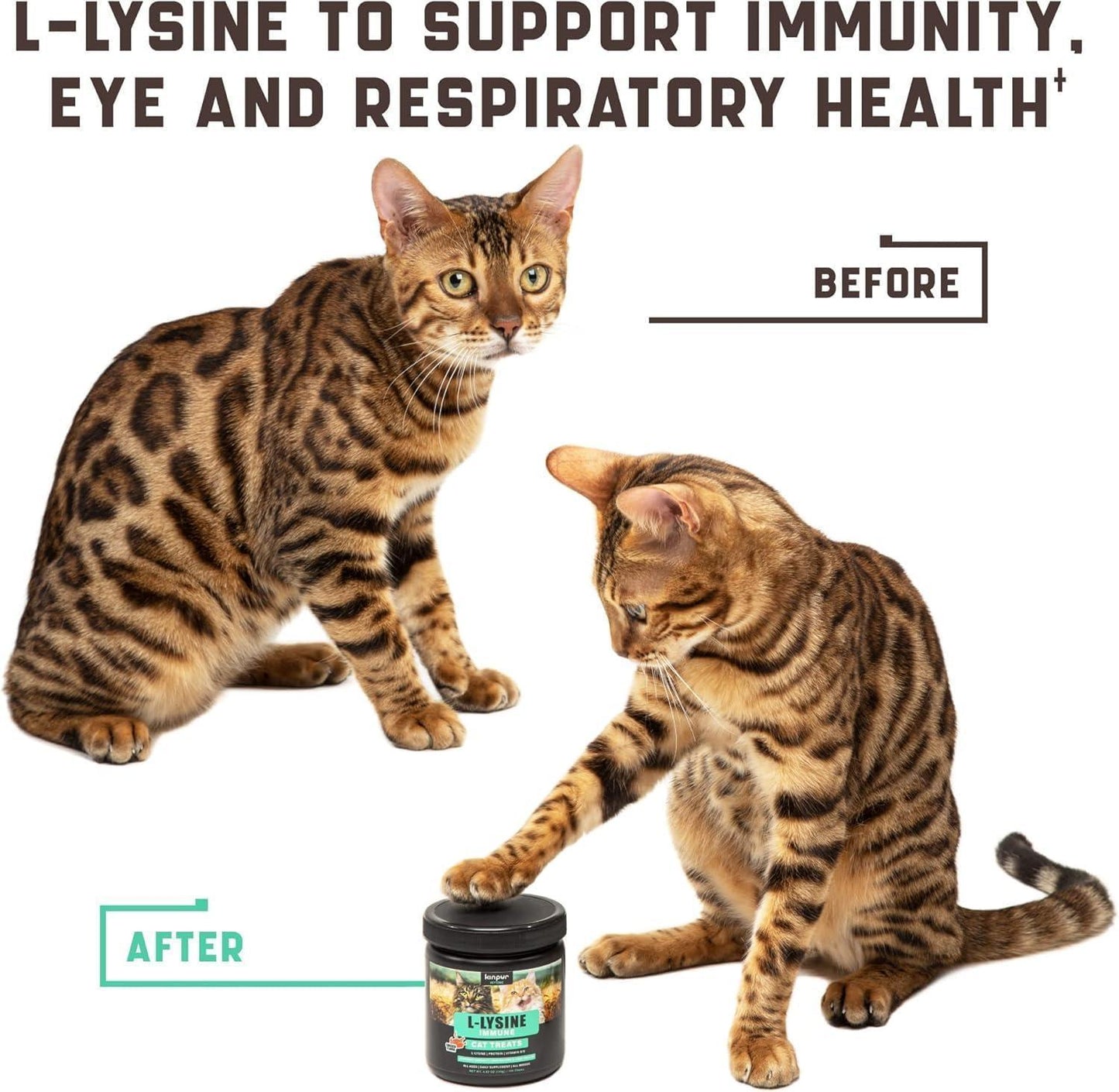 Kinpur Pet Care Lysine Cat Treats – Immune Support for Cats – Promotes Respiratory Health and Eye Function – Fortified with Vitamin B Calcium and Protein For Pet With Love