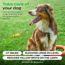 Load image into Gallery viewer, VETRICA Dog Urine Neutralizer &amp; Digestive Health Support 130 Chews
