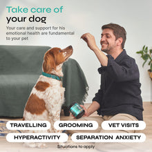 Load image into Gallery viewer, VETRICA Hemp Seed Oil Calming &amp; Anxiety Relief Treats for Dog 130 Chews
