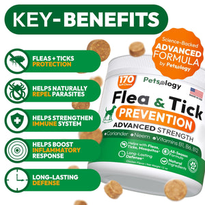 Flea and Tick Prevention for Dogs Pills   Natural Dog Flea & Tick Control   170