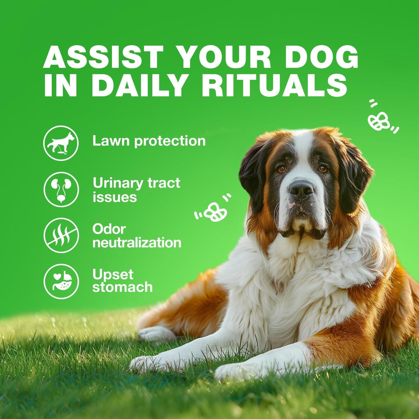 CHEWIA Grass Spot Probiotic Multivitamins Enzymes for Dogs. Vitality & UTI & Digective Support, Urine Neutralizer. 180 Chews. Duck Flavor. For Pet With Love