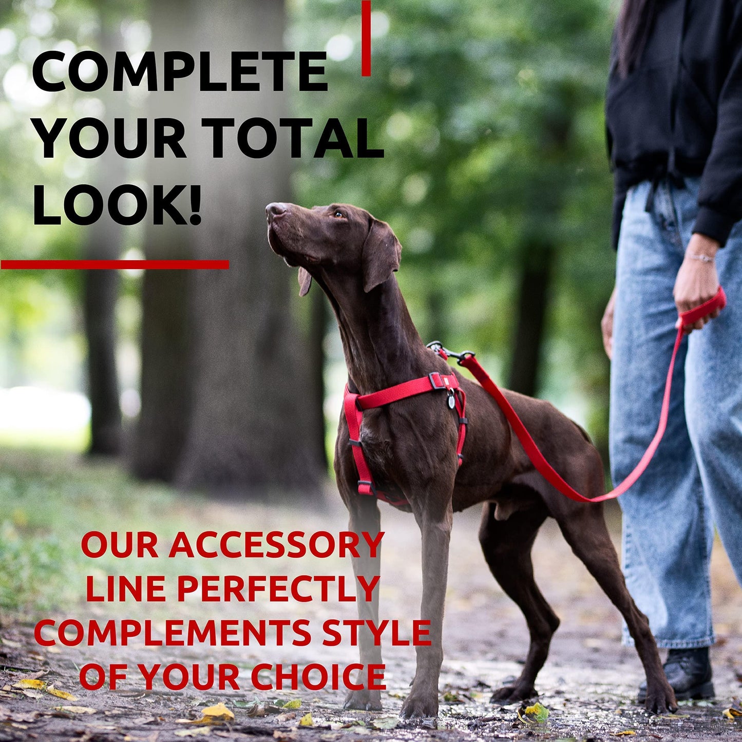 WAUDOG Waterproof Dog Leash 4 Ft   6 Ft   Anti Slip Dog Leash for Large Dogs For Pet With Love