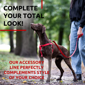WAUDOG Waterproof Dog Leash 4 Ft   6 Ft   Anti Slip Dog Leash for Large Dogs