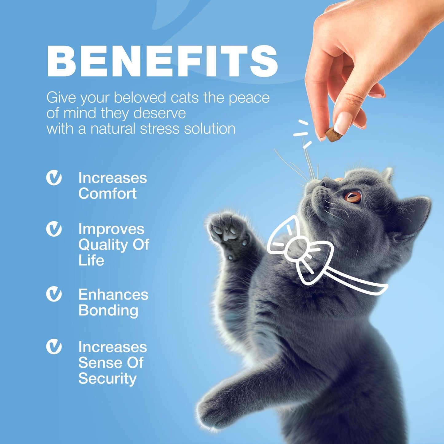 CHEWIA Hemp Calming Care Treats for Cats. Anxiety Relief Melatonin Soft Chews with Hemp Seed Oil and Probiotics (140 Chews) For Pet With Love