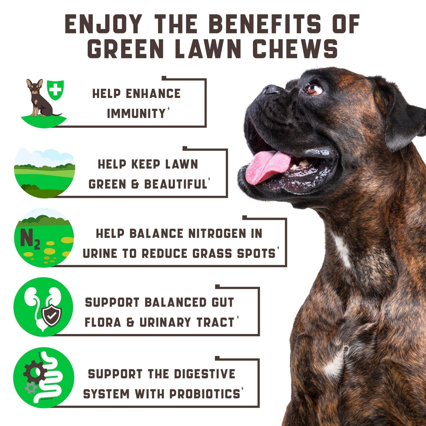 Kinpur Pet Care Cranberry Dog Urine Neutralizer for Lawn with Probiotics 180 Ct For Pet With Love