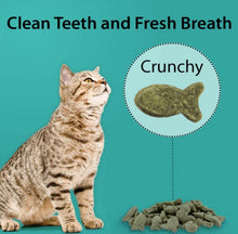 Load image into Gallery viewer, Emerald Pet Feline Dental Treats Ocean Fish Flavor
