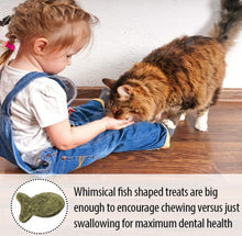 Load image into Gallery viewer, Emerald Pet Feline Dental Treats Catnip Flavor
