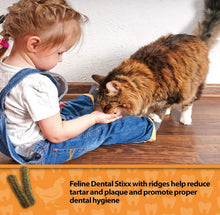 Load image into Gallery viewer, Emerald Pet Feline Dental Stixx Chicken and Pumpkin Recipe
