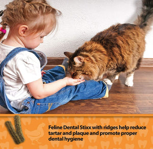 Emerald Pet Feline Dental Stixx Chicken and Pumpkin Recipe