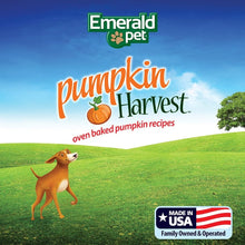 Load image into Gallery viewer, Emerald Pet Pumpkin Harvest Mini Trainers with Mixed Berries Chewy Dog Treats
