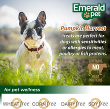 Load image into Gallery viewer, Emerald Pet Pumpkin Harvest Mini Trainers with Mixed Berries Chewy Dog Treats
