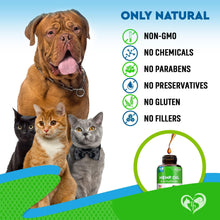 Load image into Gallery viewer, Beloved Pets Hemp Oil Calming Anti Anxiety &amp; Herbal Stress Relief for Cats &amp; Dogs 2oz
