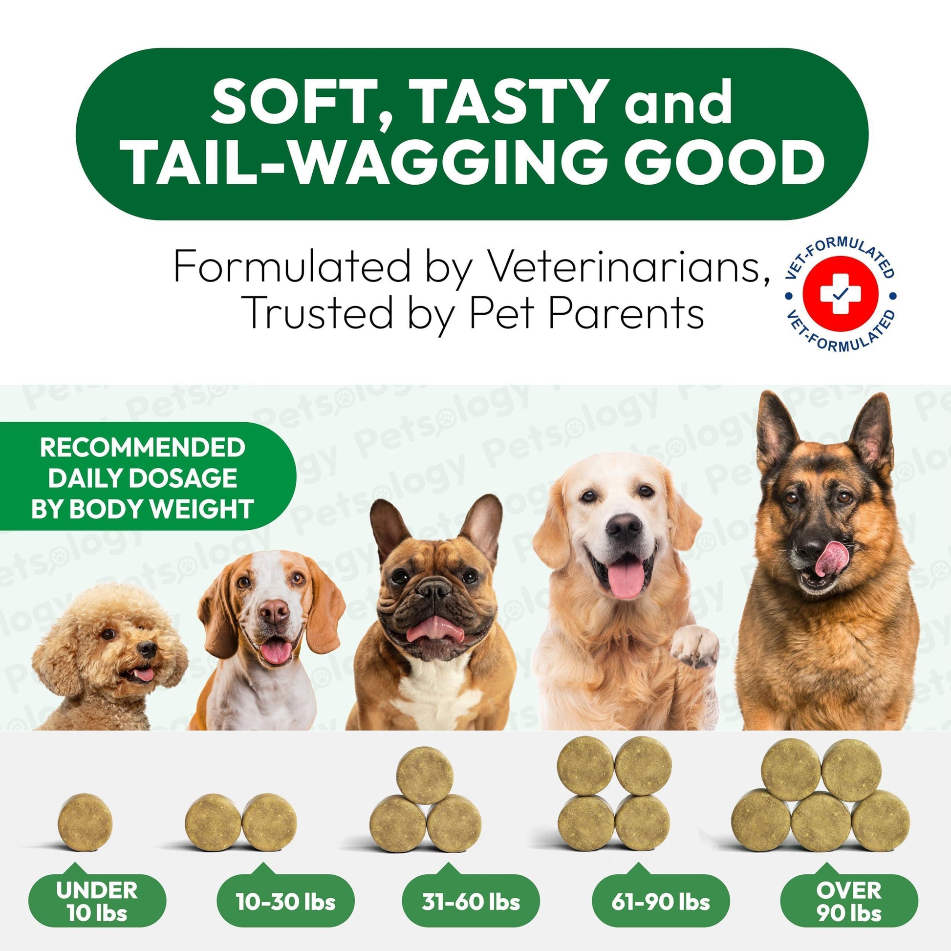 PETSOLOGY Dog Allergy Itching Relief Chews with Omega 3 Fish Oil Probiotics 170 Chews For Pet With Love