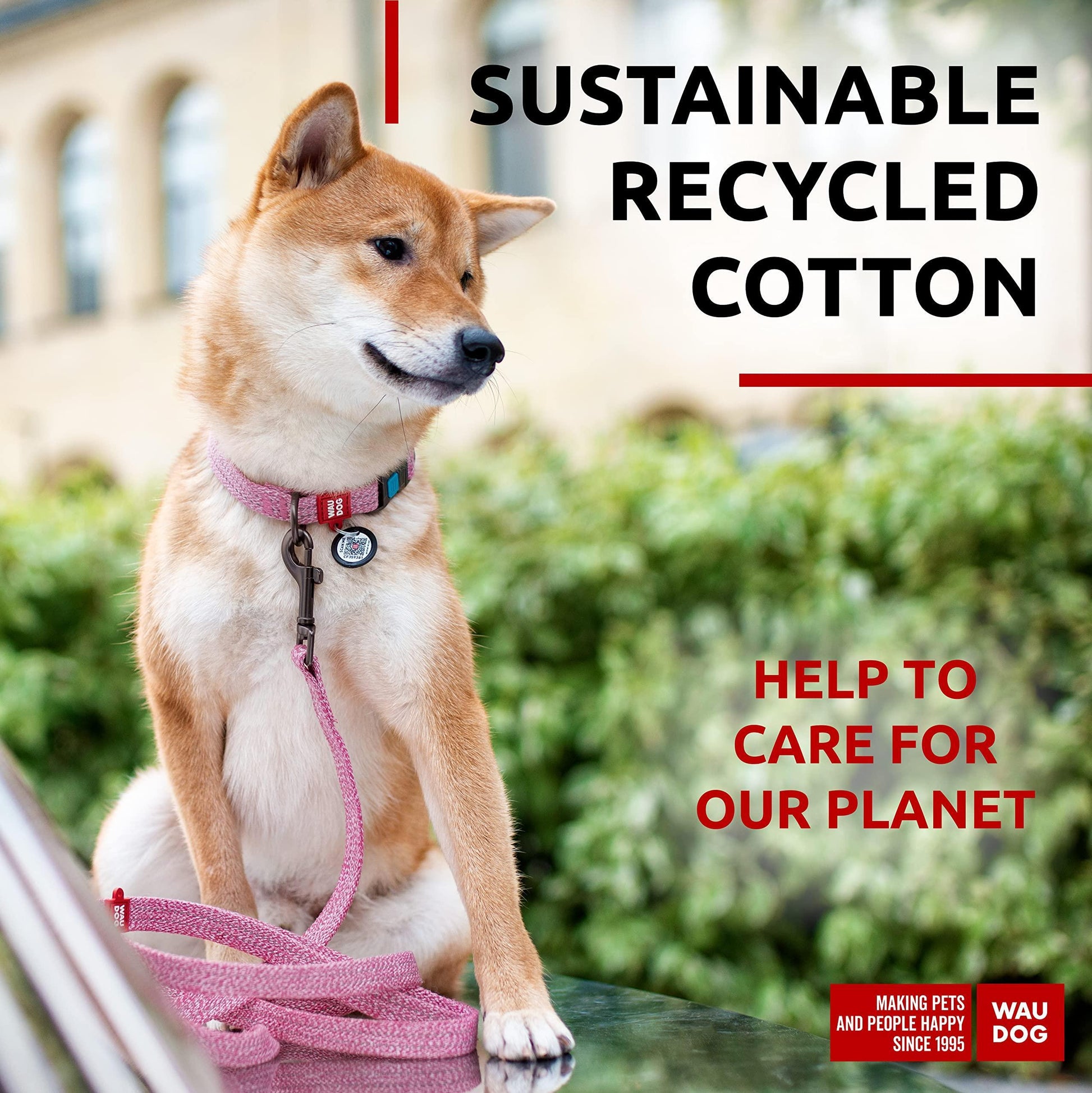 Recycled Cotton Dog Leash 6 Ft   10 Ft Eco Friendly Collar for Small Medium & For Pet With Love