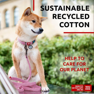 Recycled Cotton Dog Leash 6 Ft   10 Ft Eco Friendly Collar for Small Medium &