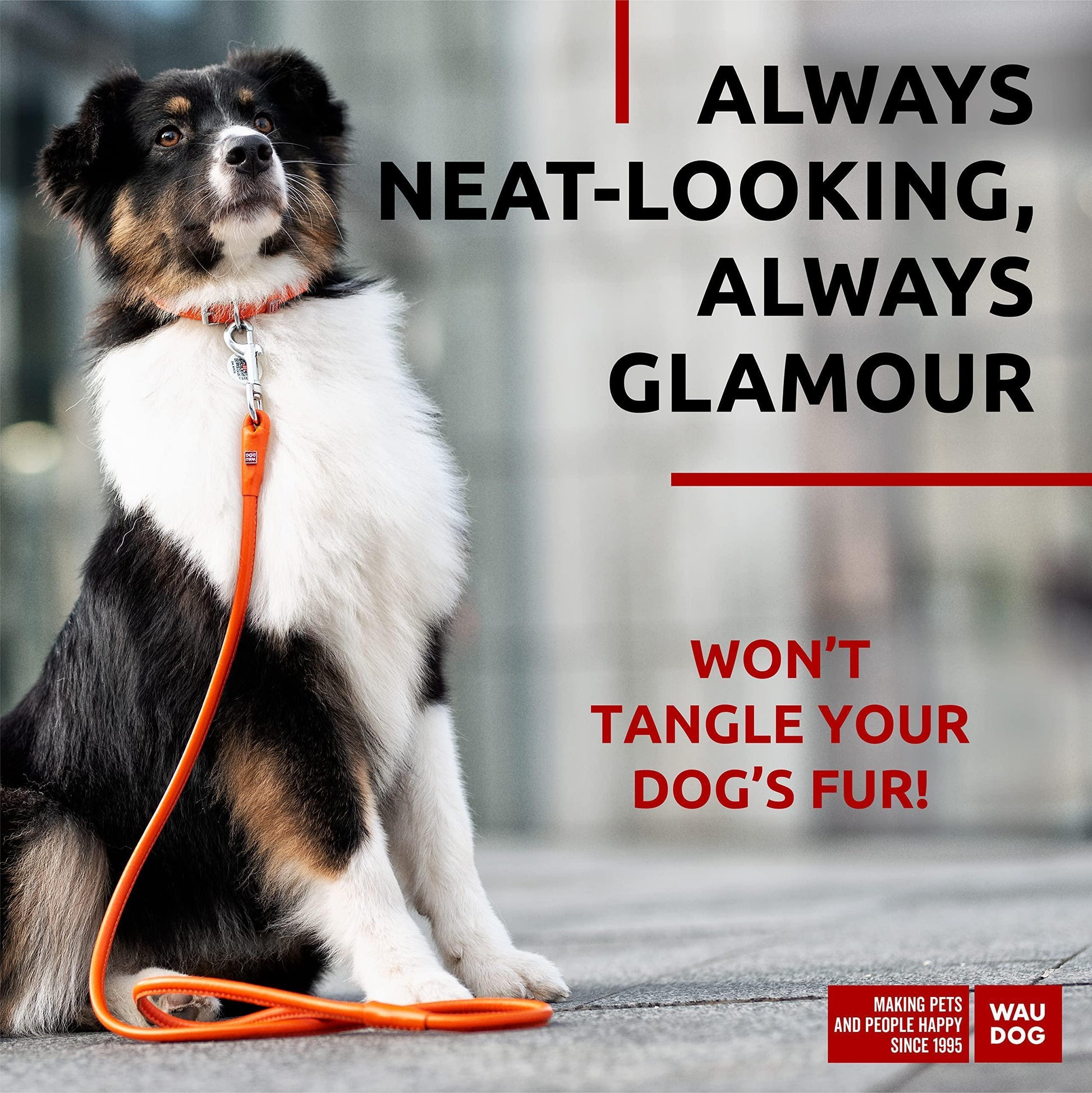 WAUDOG Rolled Leather GLAMOUR Dog Leash 4Ft * 0.5in for Small Medium and Large Dogs (Orange) For Pet With Love