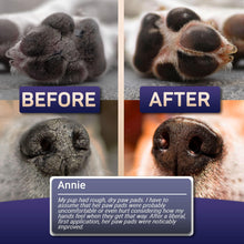 Load image into Gallery viewer, PRIMENS Natural Dog Paw &amp; Nose Balm Canine Paw Moisturizer &amp; Lotion (5 oz)
