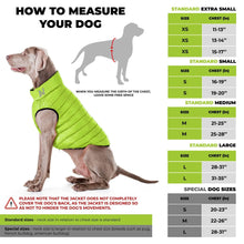Load image into Gallery viewer, AiryVest Lightweight Reversible Winter Dog Jacket - MEDIUM -  Green/Blue

